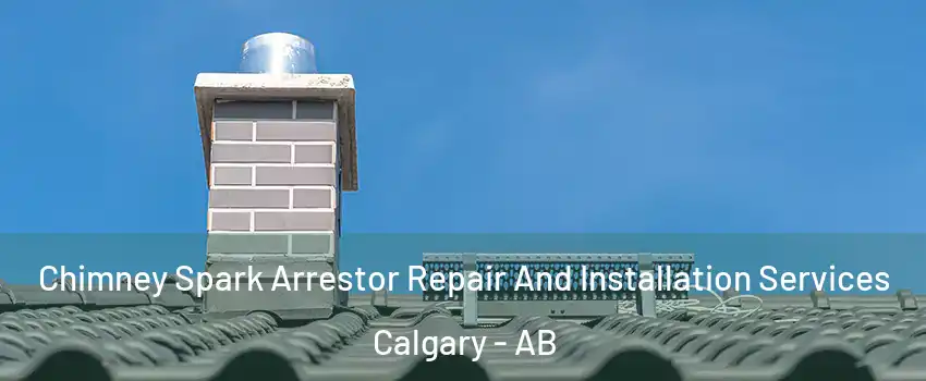  Chimney Spark Arrestor Repair And Installation Services Calgary - AB