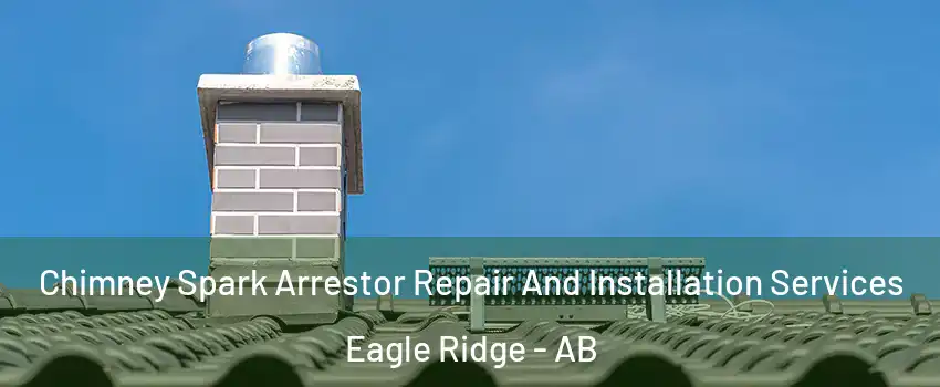  Chimney Spark Arrestor Repair And Installation Services Eagle Ridge - AB