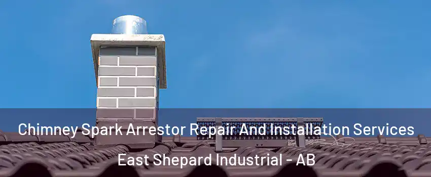  Chimney Spark Arrestor Repair And Installation Services East Shepard Industrial - AB