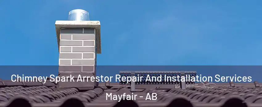  Chimney Spark Arrestor Repair And Installation Services Mayfair - AB