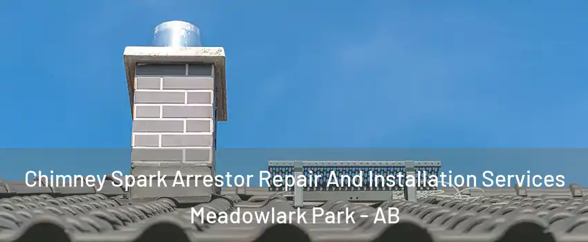  Chimney Spark Arrestor Repair And Installation Services Meadowlark Park - AB