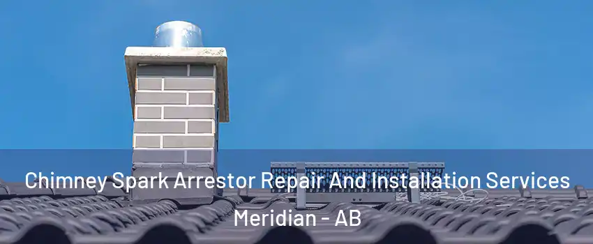  Chimney Spark Arrestor Repair And Installation Services Meridian - AB
