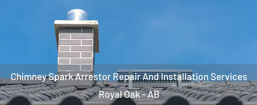  Chimney Spark Arrestor Repair And Installation Services Royal Oak - AB
