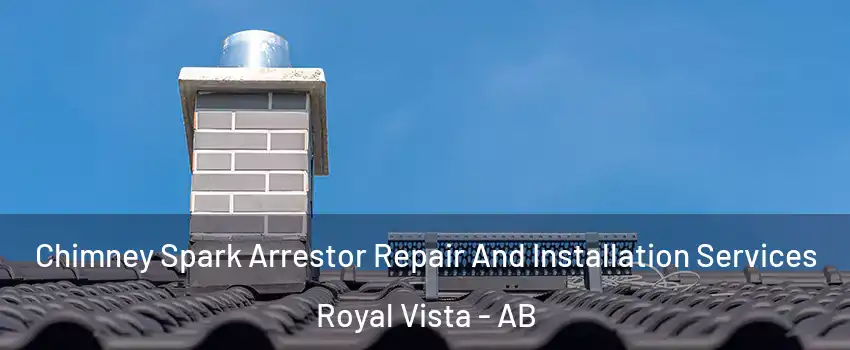  Chimney Spark Arrestor Repair And Installation Services Royal Vista - AB