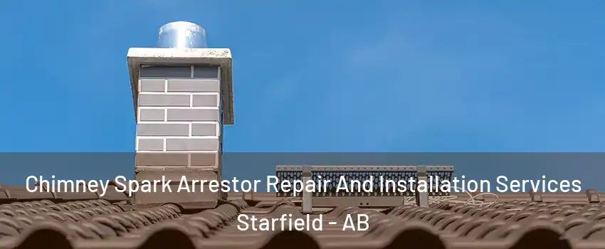  Chimney Spark Arrestor Repair And Installation Services Starfield - AB