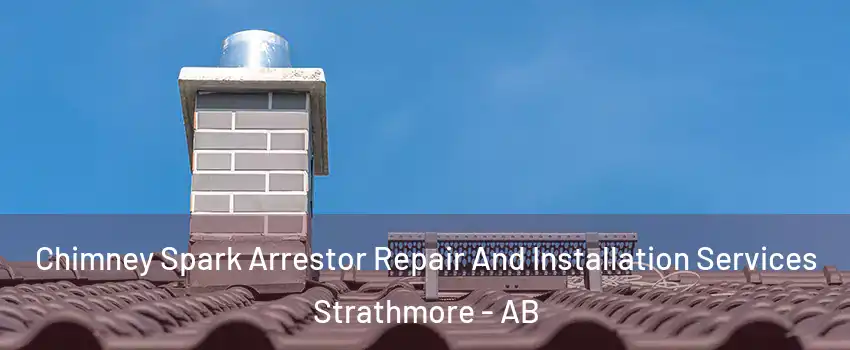  Chimney Spark Arrestor Repair And Installation Services Strathmore - AB