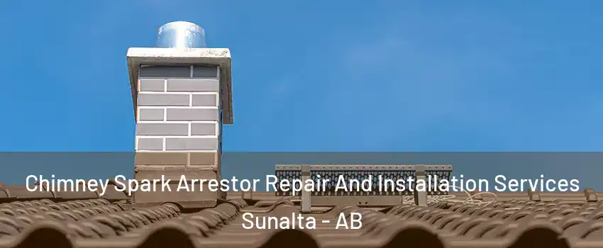  Chimney Spark Arrestor Repair And Installation Services Sunalta - AB