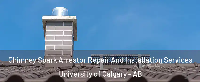  Chimney Spark Arrestor Repair And Installation Services University of Calgary - AB