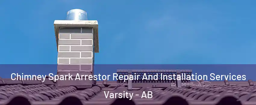  Chimney Spark Arrestor Repair And Installation Services Varsity - AB