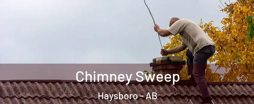  Chimney Sweep Haysboro - AB