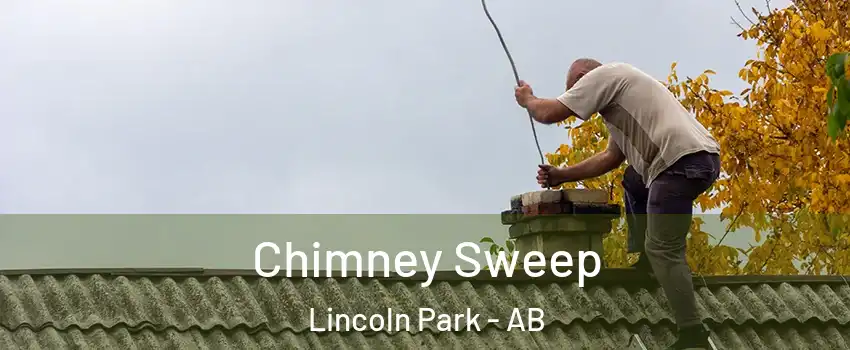  Chimney Sweep Lincoln Park - AB