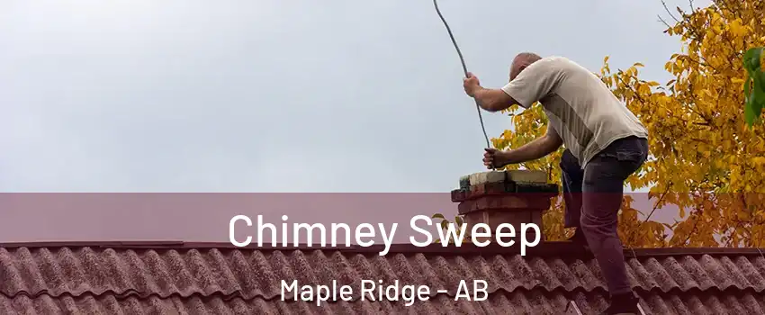  Chimney Sweep Maple Ridge - AB