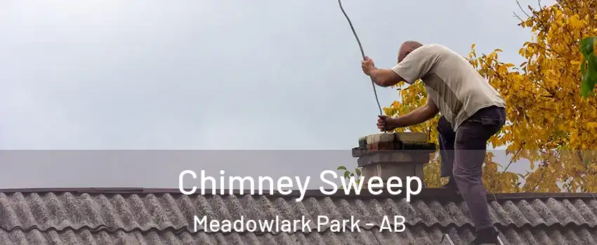  Chimney Sweep Meadowlark Park - AB