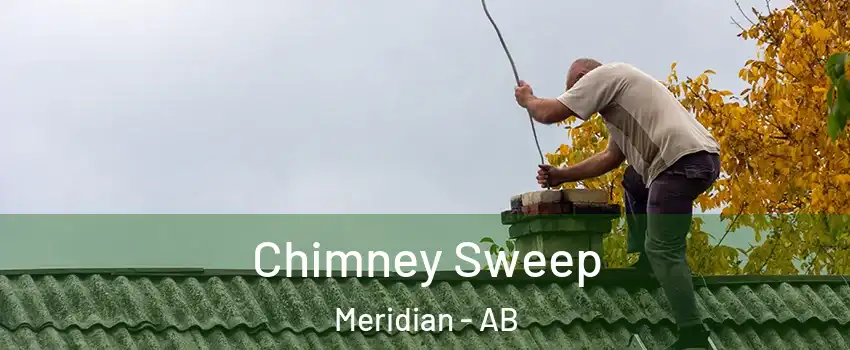  Chimney Sweep Meridian - AB