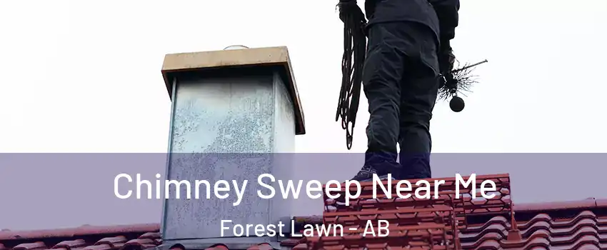  Chimney Sweep Near Me Forest Lawn - AB