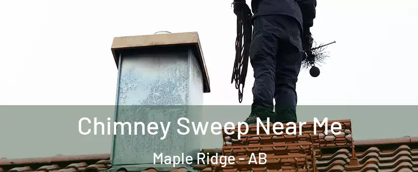  Chimney Sweep Near Me Maple Ridge - AB