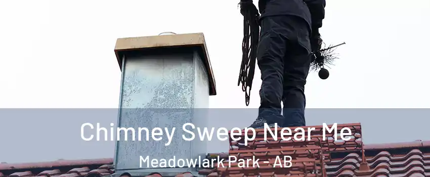  Chimney Sweep Near Me Meadowlark Park - AB