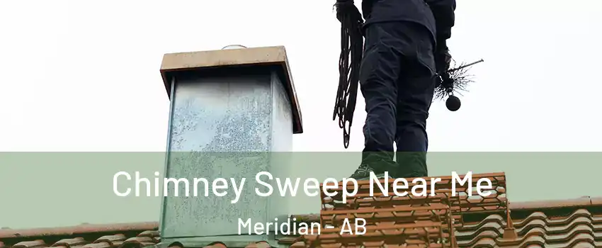  Chimney Sweep Near Me Meridian - AB