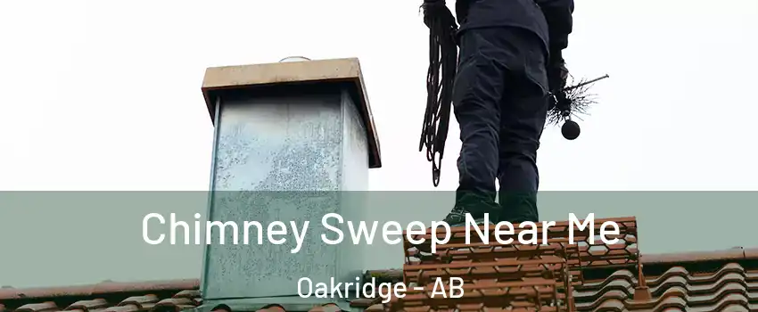  Chimney Sweep Near Me Oakridge - AB