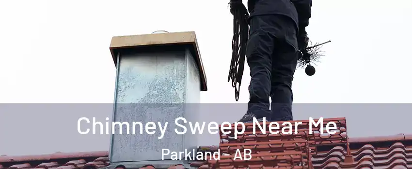  Chimney Sweep Near Me Parkland - AB