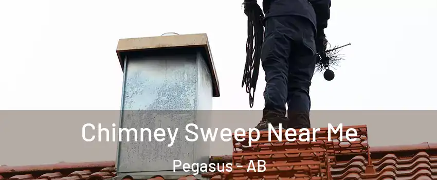  Chimney Sweep Near Me Pegasus - AB