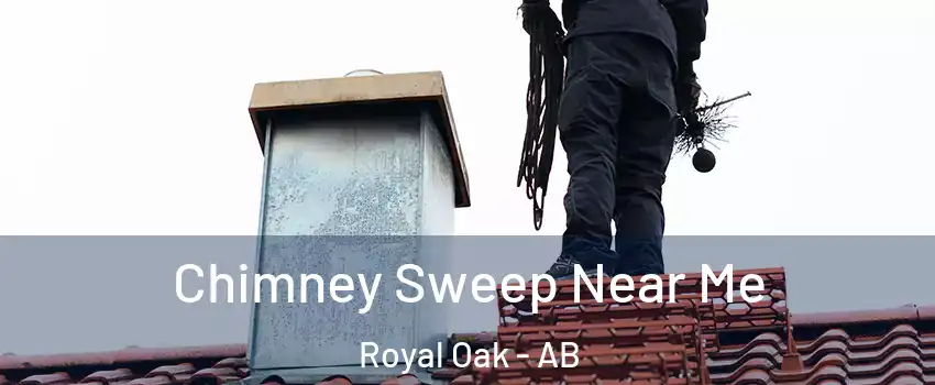  Chimney Sweep Near Me Royal Oak - AB