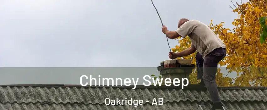  Chimney Sweep Oakridge - AB
