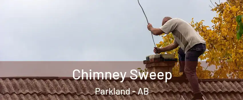  Chimney Sweep Parkland - AB