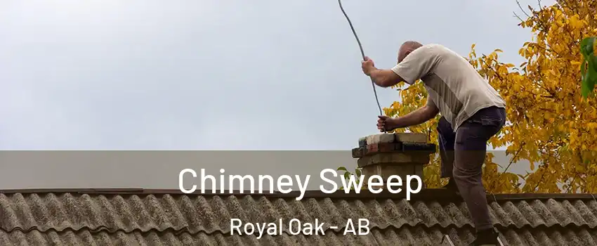  Chimney Sweep Royal Oak - AB