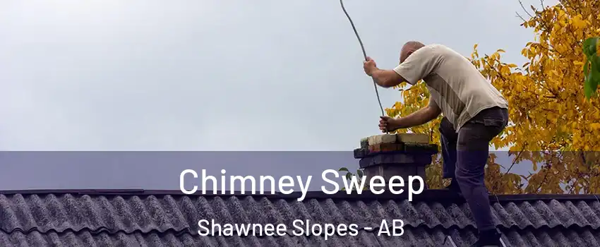  Chimney Sweep Shawnee Slopes - AB