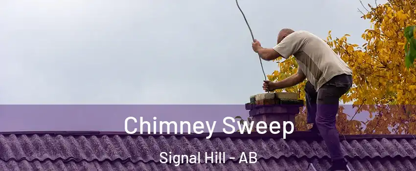  Chimney Sweep Signal Hill - AB