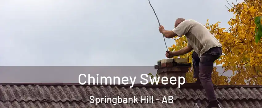  Chimney Sweep Springbank Hill - AB