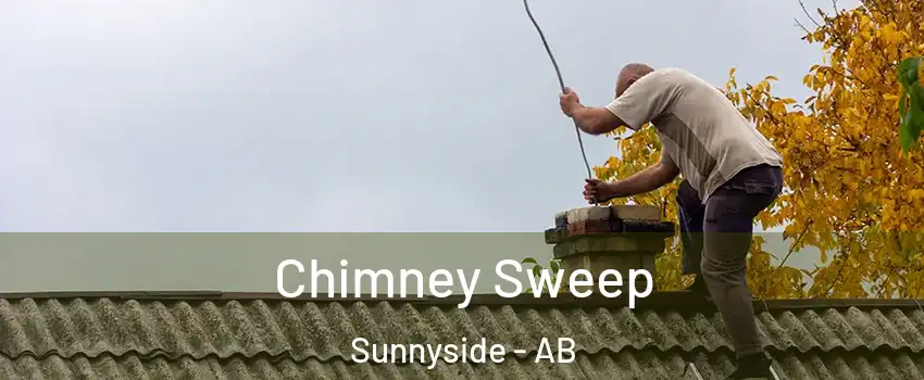  Chimney Sweep Sunnyside - AB
