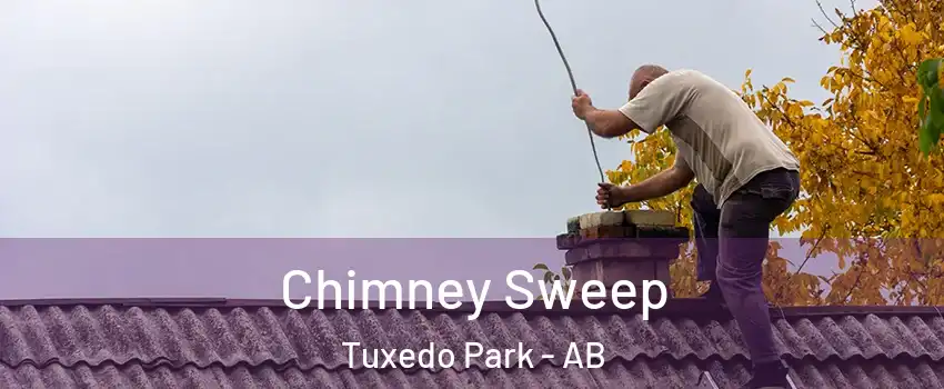  Chimney Sweep Tuxedo Park - AB