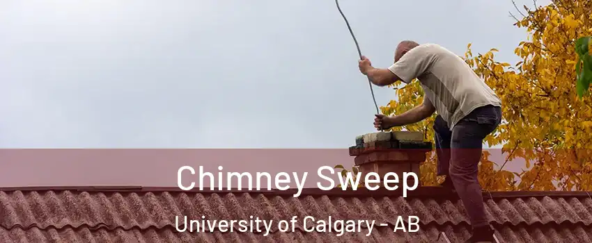  Chimney Sweep University of Calgary - AB