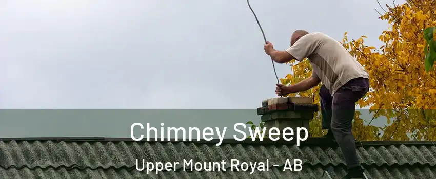  Chimney Sweep Upper Mount Royal - AB
