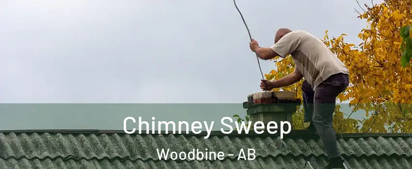  Chimney Sweep Woodbine - AB