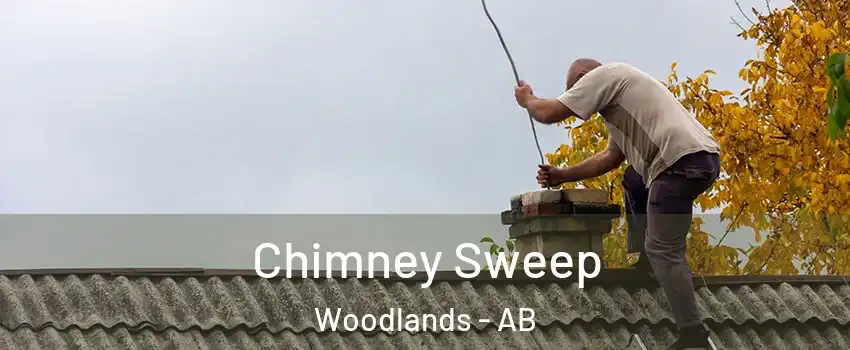  Chimney Sweep Woodlands - AB