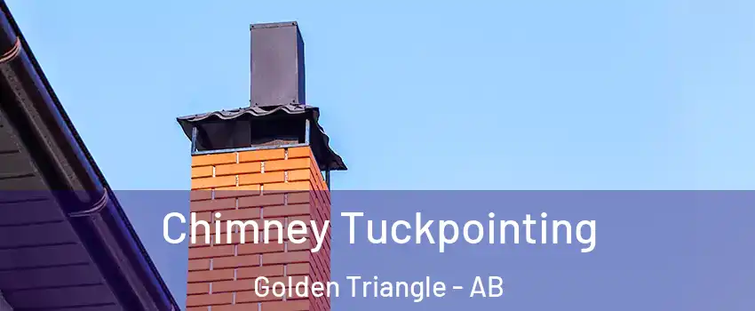  Chimney Tuckpointing Golden Triangle - AB