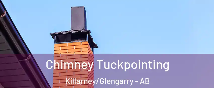  Chimney Tuckpointing Killarney/Glengarry - AB