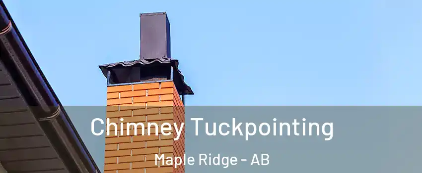  Chimney Tuckpointing Maple Ridge - AB