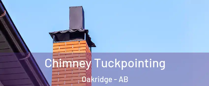  Chimney Tuckpointing Oakridge - AB