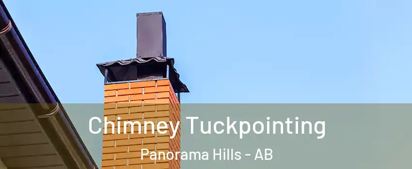  Chimney Tuckpointing Panorama Hills - AB