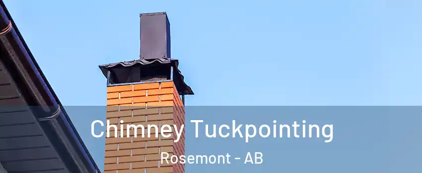 Chimney Tuckpointing Rosemont - AB