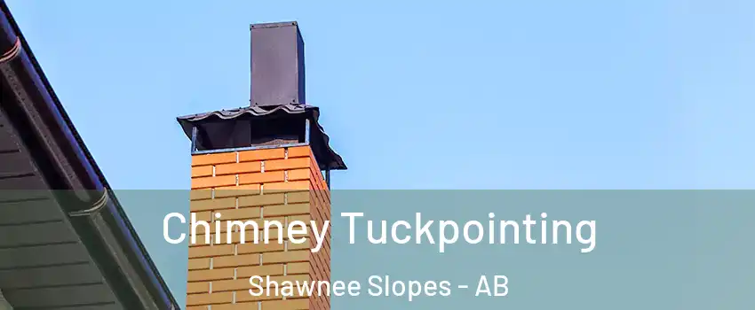  Chimney Tuckpointing Shawnee Slopes - AB