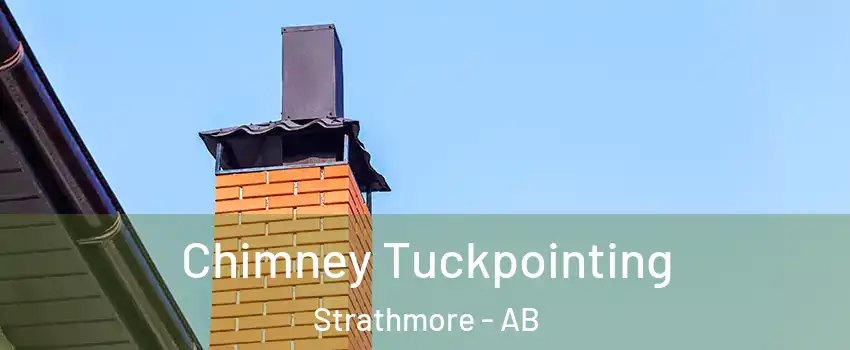  Chimney Tuckpointing Strathmore - AB