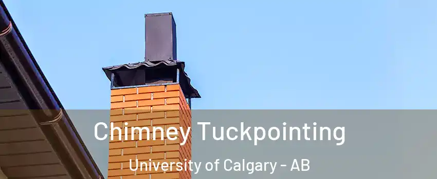  Chimney Tuckpointing University of Calgary - AB