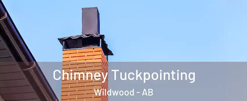  Chimney Tuckpointing Wildwood - AB