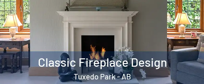  Classic Fireplace Design Tuxedo Park - AB