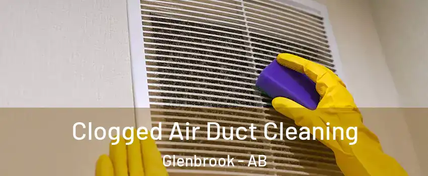  Clogged Air Duct Cleaning Glenbrook - AB
